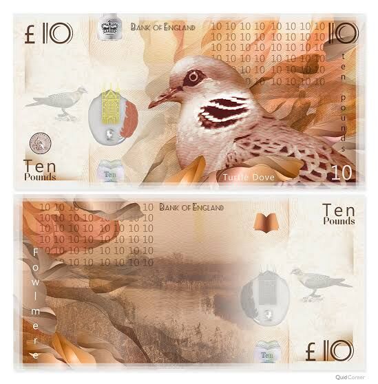 Image for the Tweet beginning: David Attenborough's 100 Years on